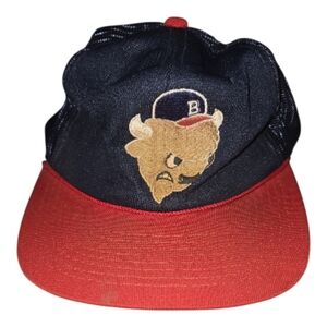 Rare Vintage Buffalo Bisons Snap Back Cap